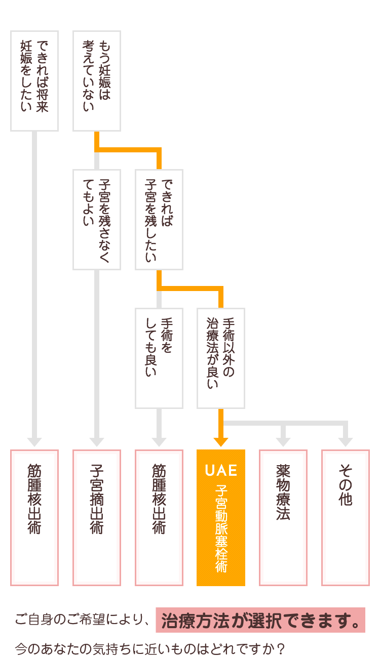 できれば将来妊娠をしたい方は筋腫核出術、もう妊娠は考えていない＋子宮を残さなくてもよい方は子宮摘出術、もう妊娠は考えていない＋できれば子宮を残したい＋手術をしても良い方は筋腫核出術、もう妊娠を考えていない＋できれば子宮を残したい＋手術以外の治療法が良い方はUAE（子宮動脈塞栓術）、薬物療法、その他。ご自身のご希望により治療方法が選択できます。今のあなたの気持ちに近いものはどれですか？